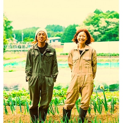 【先行受付】季節の変り野菜セット(Mサイズ)