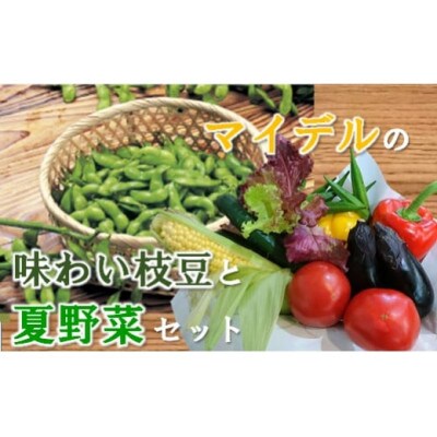 道の駅マイデルの味わい枝豆と夏野菜セット HB1-003