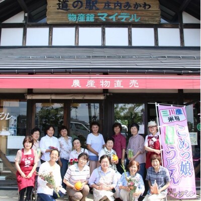 道の駅マイデルの種無し・渋抜き庄内柿10kg HB1-011