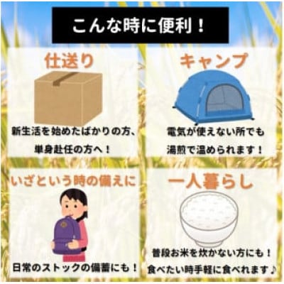 【発送月固定定期便】6月～11月発送 まいすたぁのつや姫 パックご飯 150g×24P全6回