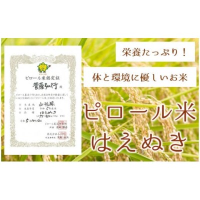 【令和6年産・玄米】九代目又七のピロール農法米はえぬき 5kg PS4-021