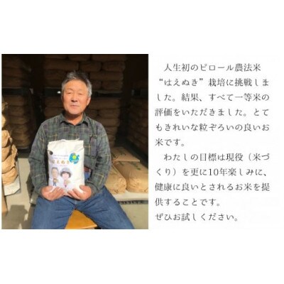 【令和6年産・玄米】九代目又七のピロール農法米はえぬき30kg PS4-023