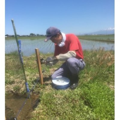 【令和6年産・玄米】ecofarmすがわらの合鴨農法有機JAS認証つや姫10kg PS5-002