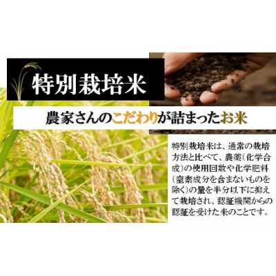 【令和6年産・玄米】ecofarmすがわらの特別栽培米つや姫10kg PS5-003