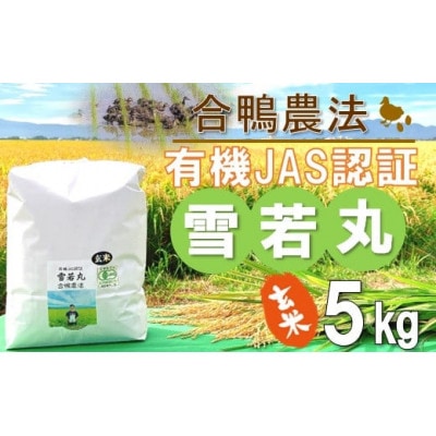 【令和6年産・玄米】ecofarmすがわらの合鴨農法有機JAS認証雪若丸5kg PS5-010