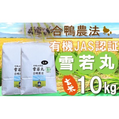 【令和6年産・玄米】ecofarmすがわらの合鴨農法有機JAS認証雪若丸10kg PS5-011
