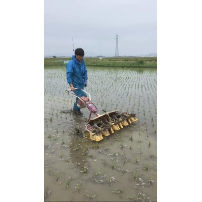 【令和6年産・玄米】ecofarmすがわらの合鴨農法 有機JAS認証雪若丸30kg　PS5-017
