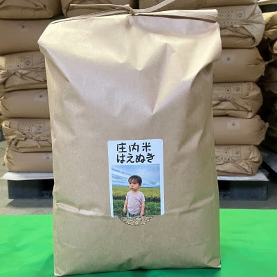 【令和7年産】ecofarmすがわらの庄内米はえぬき(精米)10kg(5kg×2袋)PS5-021