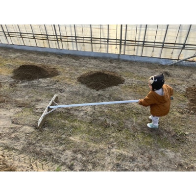【令和7年産】ecofarmすがわらの庄内米はえぬき(精米)10kg(5kg×2袋)PS5-021