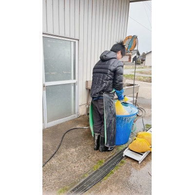 【令和7年産】ecofarmすがわらの庄内米ひとめぼれ(精米)10kg(5kg×2袋)PS5-020