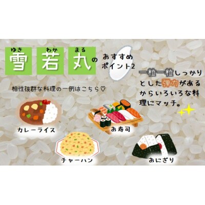【令和6年産】【玄米】特別栽培米　雪若丸4kg(2kg×2袋)HA1-011