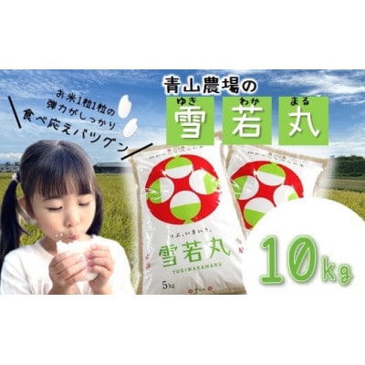 【令和6年産・精米】特別栽培米 青山農場の雪若丸10kg(5kg×2袋) HA1-009