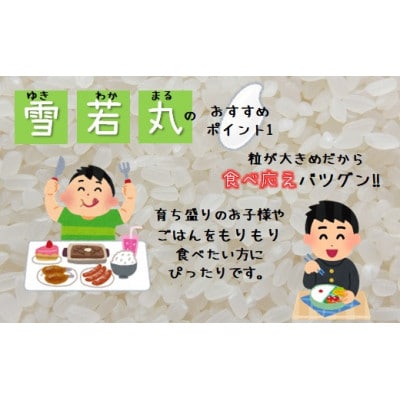 【令和6年産・精米】特別栽培米 青山農場の雪若丸10kg(5kg×2袋) HA1-009