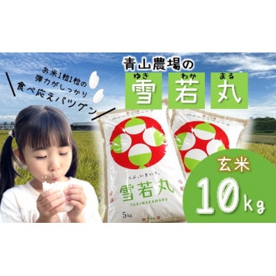 【令和6年産・玄米】青山農場の 特別栽培米 雪若丸10kg(5kg×2袋) HA1-010