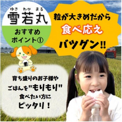 【令和6年産・玄米】青山農場の 特別栽培米 雪若丸10kg(5kg×2袋) HA1-010