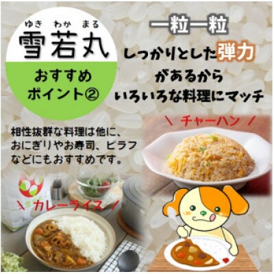 【令和6年産・玄米】青山農場の 特別栽培米 雪若丸10kg(5kg×2袋) HA1-010