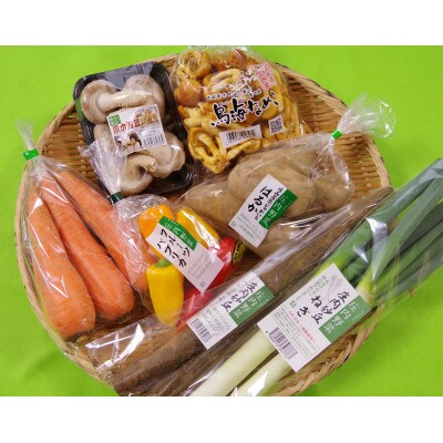 食の都庄内【庄内野菜】旬のお野菜詰め合わせセット　HS4-135