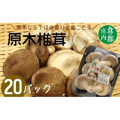 原木椎茸まさに木の子20パック HS4-112
