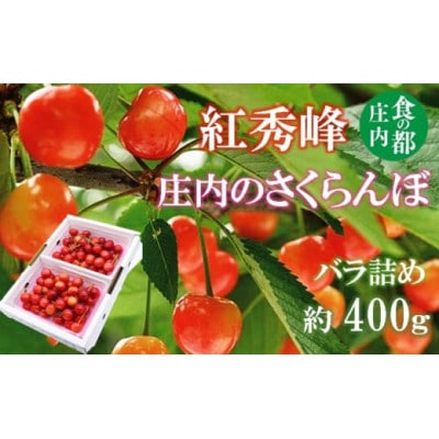 【令和7年産】庄内のさくらんぼ「紅秀峰」400gバラ詰め HS4-256