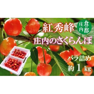 【令和7年産】庄内のさくらんぼ「紅秀峰」1kgバラ詰め HS4-258