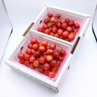【令和7年産】庄内のさくらんぼ「紅秀峰」1kgバラ詰め HS4-258