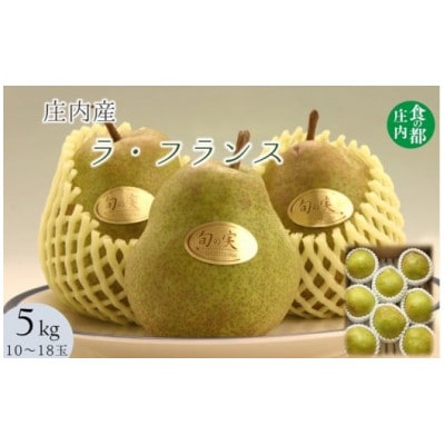 庄内の洋梨「ラ・フランス」約5kg※11月上旬〜配送 (HS4-283)
