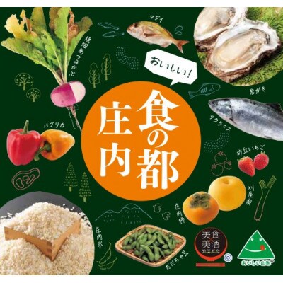 庄内柿の干柿 10パック※1月上旬～3月発送(HS4-071)