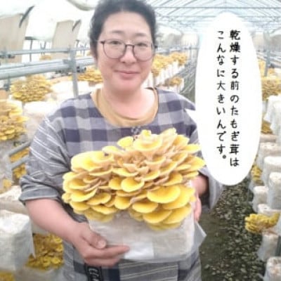 グリーンファーム小野寺の乾燥たもぎ茸　20g×4袋
