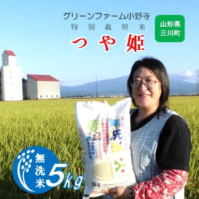 【令和7年産・精米】グリーンファーム小野寺の【無洗米】つや姫5kg PO1-001