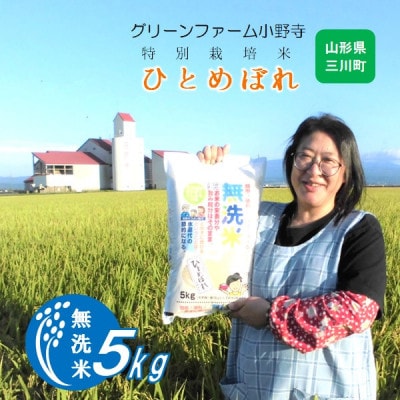 【令和7年産・精米】グリーンファーム小野寺の【無洗米】ひとめぼれ5kg PO1-003