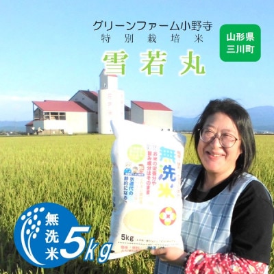 【令和7年産・精米】グリーンファーム小野寺の【無洗米】雪若丸5kg PO1-002