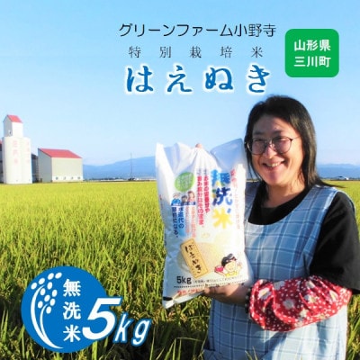 【令和7年産・精米】グリーンファーム小野寺の【無洗米】はえぬき5kg PO1-004