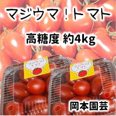 北海道 伊達 岡本園芸 ミニトマト 高糖度 約4kg【マジウマ!トマト】