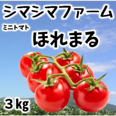 北海道伊達市 ミニトマト ほれまる 3kg