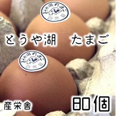 北海道 伊達市 とうや湖玉子 80個入り