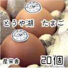 【毎月定期便】北海道 伊達市 とうや湖玉子 20個入り全6回