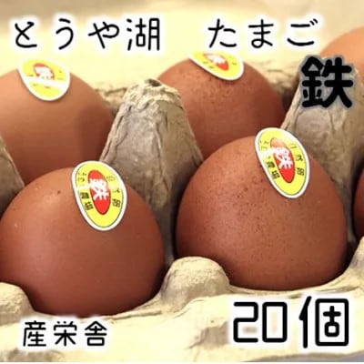 【毎月定期便】北海道 伊達市 とうや湖玉子 鉄 20個 入り全3回