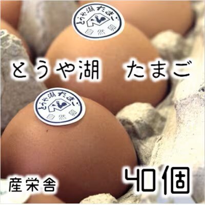 【毎月定期便】北海道 伊達市 とうや湖玉子 40個入り全3回