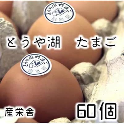 【毎月定期便】北海道 伊達市 とうや湖玉子 60個入り全3回