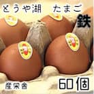 【毎月定期便】北海道 伊達市 とうや湖玉子 鉄 60個 入り全3回