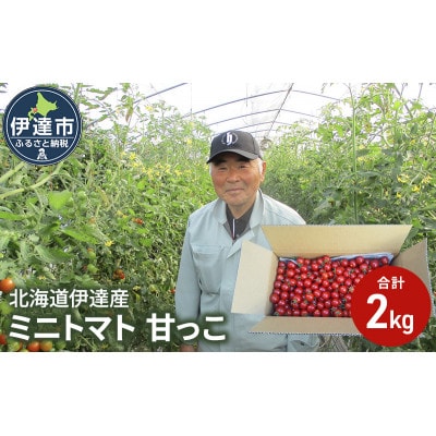 北海道伊達産 甘いミニトマト 甘っこ 2kg