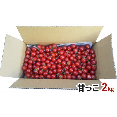 北海道伊達産 甘いミニトマト 甘っこ 2kg