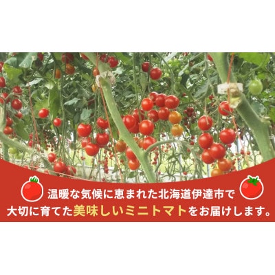北海道伊達産 甘いミニトマト まゆか 1kg