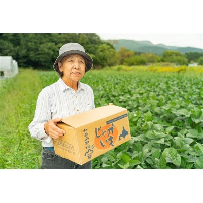 北海道産 じゃがいも とうや 約5kg