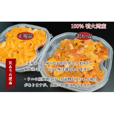 訳あり 北海道 噴火湾産 塩水 バフンウニ 100g×3パック 計300g