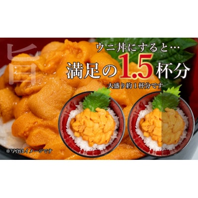 北海道 噴火湾産 塩水 バフンウニ 100g×6パック 計600g