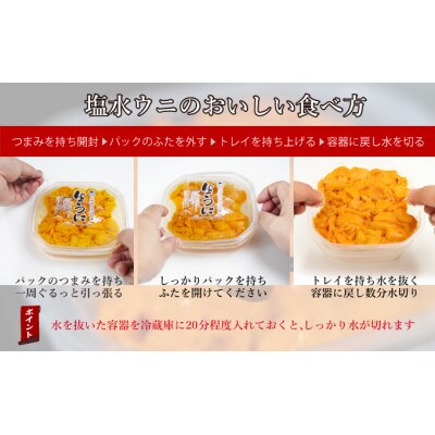 北海道 噴火湾産 塩水 バフンウニ 100g×9パック 計900g