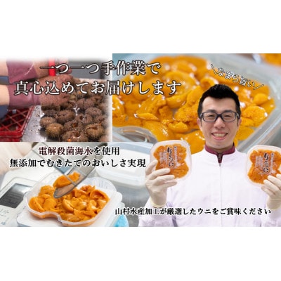 北海道 噴火湾産 塩水 バフンウニ 100g×10パック 計1kg