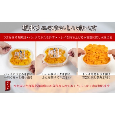 北海道 噴火湾産 塩水 バフンウニ 100g×5パック 計500g