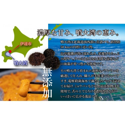 北海道 噴火湾産 塩水 バフンウニ 100g×5パック 計500g